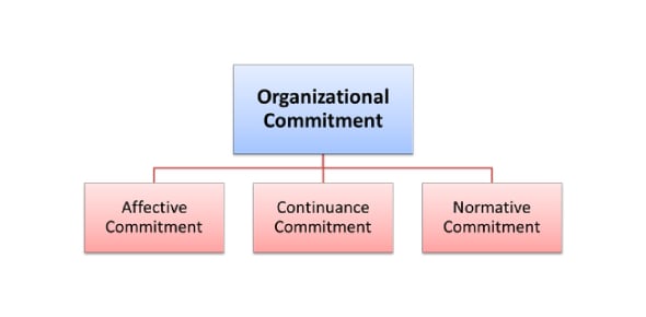  Key Features For Organizational Commitment Flashcards